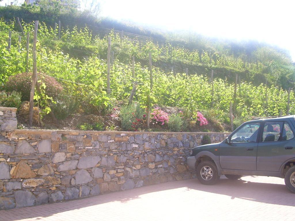 Ariabuona Apartment Moneglia Luaran gambar