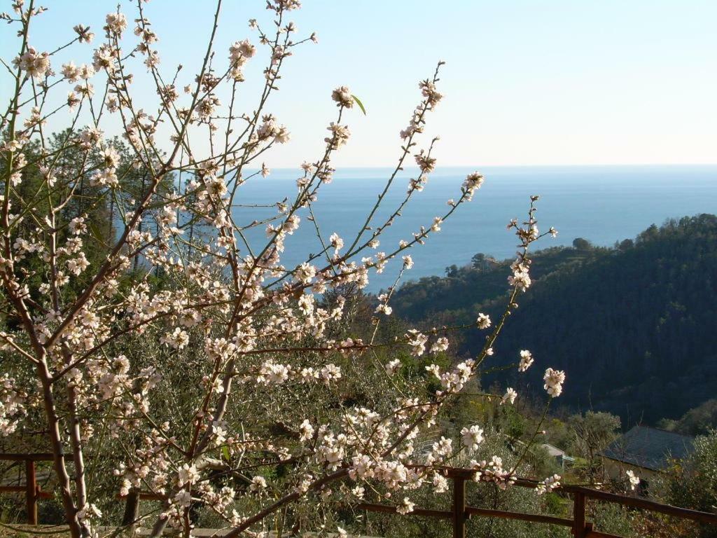 Ariabuona Apartment Moneglia Luaran gambar
