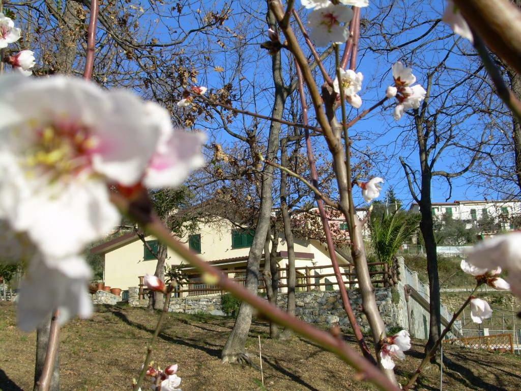Ariabuona Apartment Moneglia Luaran gambar