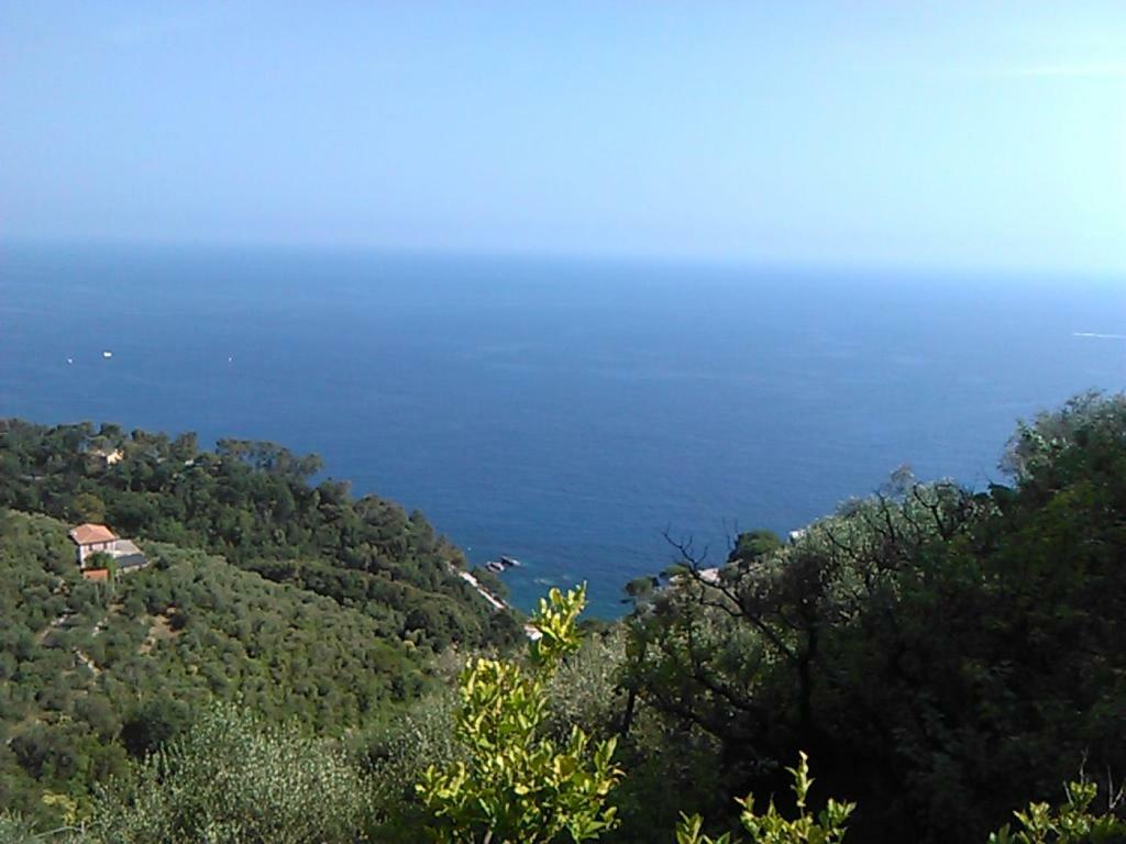 Ariabuona Apartment Moneglia Luaran gambar